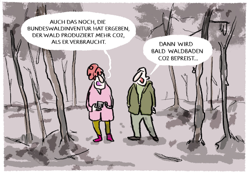 Der Wald wird zum Klimaproblem.. Der Wald wird zum Klimaproblem..
