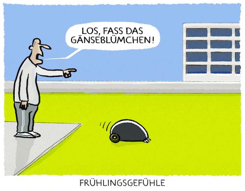 Rasenpflege...