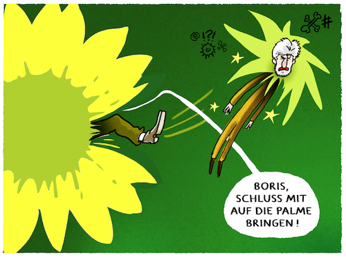 Stechpalme Stechpalme