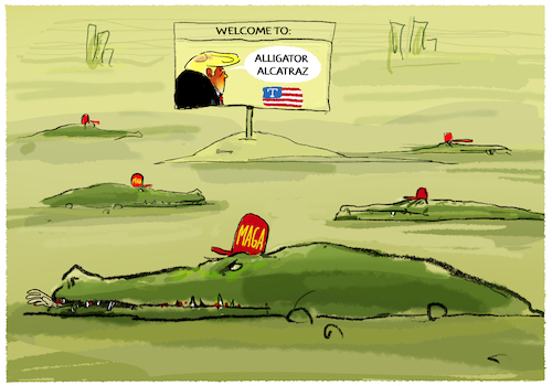 Cartoon: Trumps Abschiebelager in Florida (medium) by markus-grolik tagged donald,trump,usa,migration,einwanderung,abschiebung,ice,alligator,alcatraz,florid,gefaengnis,menschenrechte,di,santis,gouverneur,donald,trump,usa,migration,einwanderung,abschiebung,ice,alligator,alcatraz,florid,gefaengnis,menschenrechte,di,santis,gouverneur