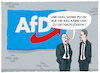 AfD und Putin