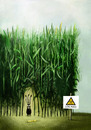 Cartoon: Genfood (small) by markus-grolik tagged mais hase gen genetisch manipuliert genfood lebensmittel foodwatch natur biologie flora fauna nagetiere wildtiere schoepfung mensch gott korn technologien entwicklungsgeschichte moderne biofood discounter landwirtschaftökologegenom erbgut technik umwelt