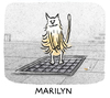 Cartoon: heatwave (small) by markus-grolik tagged cat,katze,marilyn,billy,wilder,hollywood,pussy,monroe,star,heat,hitze,new,york,sommer,grolik,cartoon