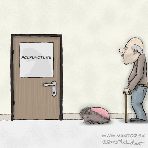 Cartoon: Acupuncture (medium) by Mandor tagged poor,bald,hedgehog,acupuncture