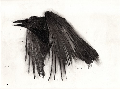 Cartoon: flying raven (medium) by Maninblack tagged raven,bird,black
