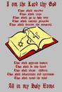 Cartoon: DECALOGUE (small) by Thamalakane tagged religion,commandments,decalogue