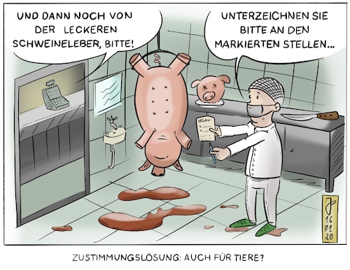 Zustimmungslösung Zustimmungslösung