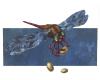 Cartoon: libelle (small) by Lissy tagged illustration animals insekt libelle eier brut fliegen flug