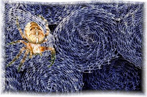Cartoon: wire1 (medium) by LuciD tagged lucido