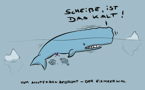 Cartoon: Sehr kurz vorm Aussterben (medium) by Ludwig tagged whale,wal,meer,tier,ozean,kälte,impotent,impotence,impotenz,zeugung,frieren,polarmeer,eismeer