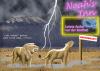 Cartoon: Last minute (small) by Michael Böhm tagged bible,animal,flood,cartoon,lion,noah,bibel,löwe,flut,arche,sintflut