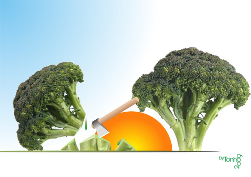Cartoon: broccoli (medium) by Tonho tagged alimento
