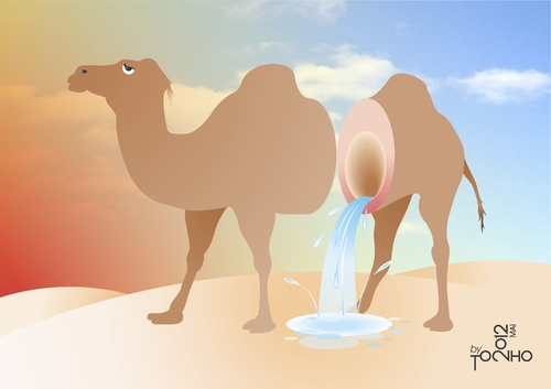 Cartoon: Camel (medium) by Tonho tagged camel,water,arroba,desert