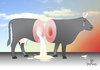 Cartoon: Crying over spilled MILK! (small) by Tonho tagged crying,milk,cow