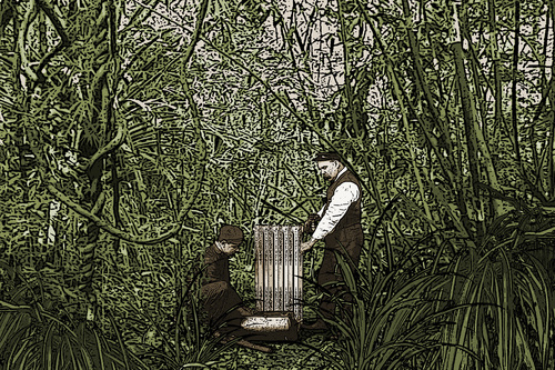 Installers in the jungle Installers in the jungle