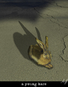 Cartoon: end of... (small) by Anjo tagged duerer hase hare end dead asphalt car auto street strasse