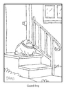 guard
