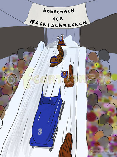 Cartoon: Bobrennen (medium) by Frank Zimmermann tagged bobrennen,bobschlitten,schnecken,fcartoons,cartoon,zuschauer,snails,sled,wintersport,nacktschnecken