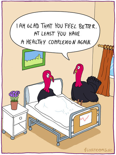 Cartoon: feel better (medium) by Frank Zimmermann tagged cartoon,curtains,bed,well,get,sick,flowers,turkey,hospital,better,feel,blumen,krankenhaus,bild,rahmen,gardine,truthahn,bett