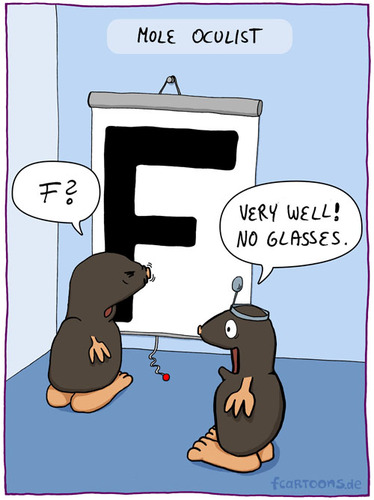 Cartoon: MOLE OCULIST (medium) by Frank Zimmermann tagged stethoskop,arzt,maulwurf,cartoon,perfect,glasses,board,doctor,eye,oculist,mole