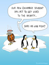 Cartoon: EXCHANGE STUDENT (small) by Frank Zimmermann tagged antartica,bottle,cold,exchange,freeze,hot,ice,penguin,student,vulture,cartoon,arctic,pole