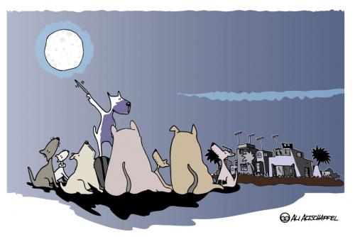 Как эта глупая луна. Полнолуние юмор. Луна карикатура. Полная Луна карикатура. Полнолуние карикатура.