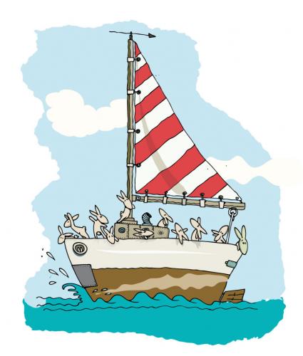 sail sail