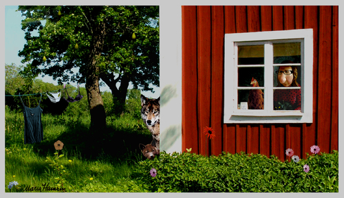 Cartoon: Wolves at the door. (medium) by Maria Hamrin tagged countryside,landsbygden,vargen,rovdjur,jägarna,naturskyddsföreningen,eu,rödluvan