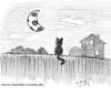 Cartoon: mondball (small) by Hannes tagged hannes,fußball,football,mond,moon,nacht,night,katze,cat