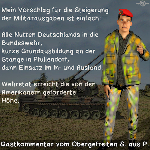 Cartoon: Pfullendorf und Wehretat (medium) by PuzzleVisions tagged puzzlevisions,pfullendorf,kaserne,barracks,defense,budget,wehretat,grundausbildung,basic,training,nutte,whore