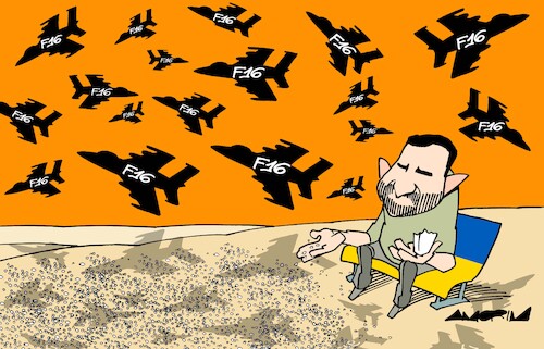 Birds Birds