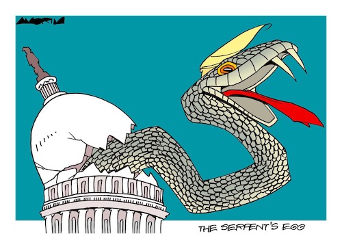 Cartoon: Capitol (medium) by Amorim tagged trump,capitol,riots