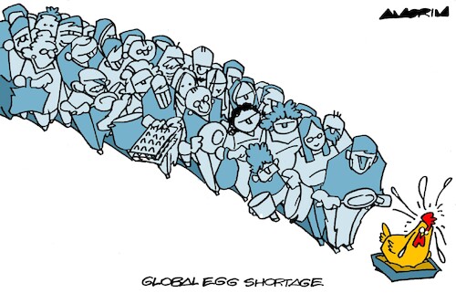 Eggs shortage Eggs shortage