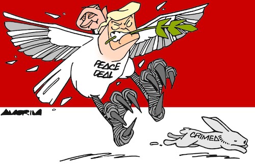 Peace dove Peace dove