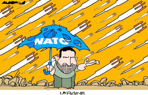 Umbrellas Umbrellas