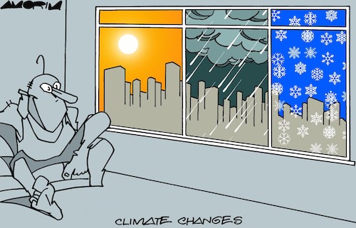 Windows Windows