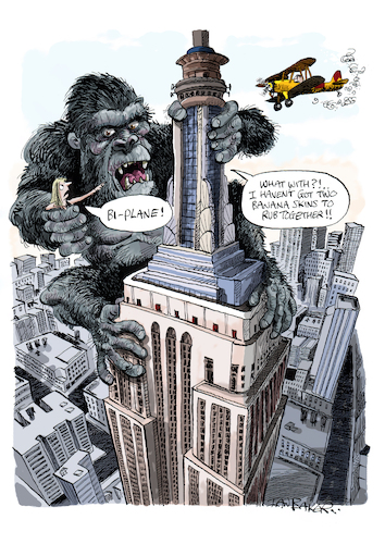 Cartoon: King Kong (medium) by Ian Baker tagged king,kong,monkey,ape,new,york,america,usa,manhattan,empire,state,building,woman,girl,captive,ian,baker,cartoon,caricature,parody,spoof,gag,film,movie,science,fiction,giant,huge,massive,climb,plane,bi,gorilla