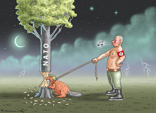 Cartoon: 75 JAHRE NATO (medium) by marian kamensky tagged 75,jahre,nato,trump,putin,75,jahre,nato,trump,putin