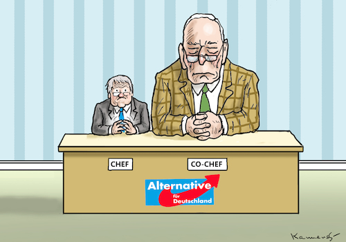 AFD-PARTEITAG AFD-PARTEITAG