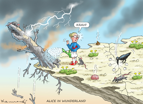 ALICE IN WUNDERLAND ALICE IN WUNDERLAND