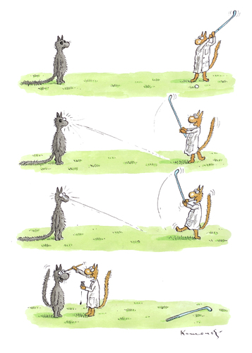 Cartoon: Augenarzt (medium) by marian kamensky tagged schwarzer,humor,kater,augenarzt,blinder,golf,kater,augenarzt,blinder,golf,blind,sport