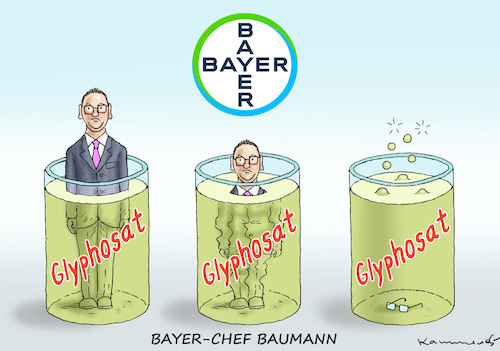BAYER - CHEF BAUMANN BAYER - CHEF BAUMANN
