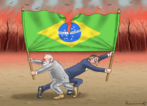 BRASILIENS ZERREIßPROBE BRASILIENS ZERREIßPROBE