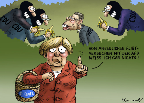 Cartoon: CDU Flirt mit der AfD (medium) by marian kamensky tagged eu,wahlen,rechtsparteien,marie,le,pen,merkel,afd,strache,geerd,wilder,eu,wahlen,rechtsparteien,marie,le,pen,merkel,afd,strache,geerd,wilder