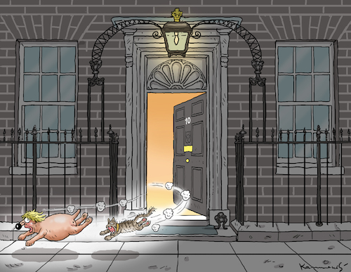 DOWNINGSTREET-KATZE DOWNINGSTREET-KATZE