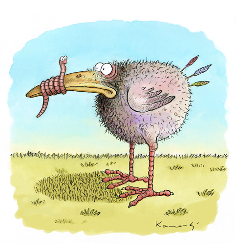 Duped Chick Duped Chick