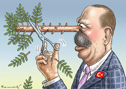 ERDOWAHNS OPERATION OLIVENZWEIG ERDOWAHNS OPERATION OLIVENZWEIG