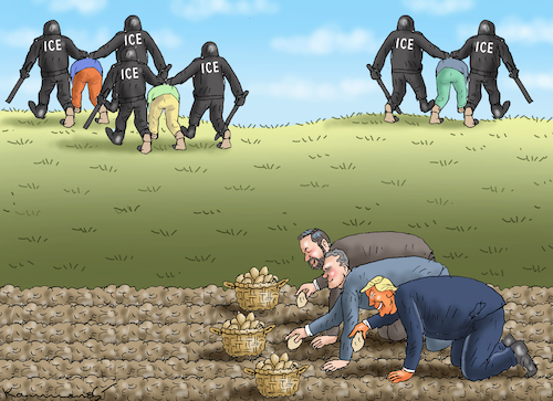 Cartoon: ERNTEHELFER TRUMP HEGSETH UND J (medium) by marian kamensky tagged musk,trump,zuckerberg,bezos,felon,and,elon,in,panama,zölle,diktator,selenskyj,putin,ukraine,usa,china,handelskrieg,musk,trump,zuckerberg,bezos,felon,and,elon,in,panama,zölle,diktator,selenskyj,putin,ukraine,usa,china,handelskrieg