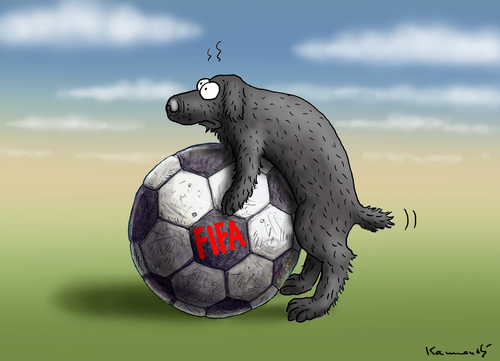 FIFA FIFA