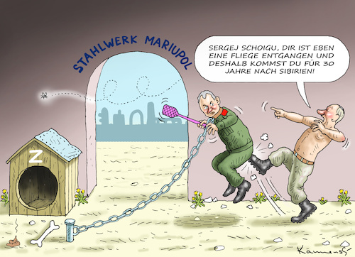 FLIEGENWÄCHTER SERGEJ SCHOIGU FLIEGENWÄCHTER SERGEJ SCHOIGU